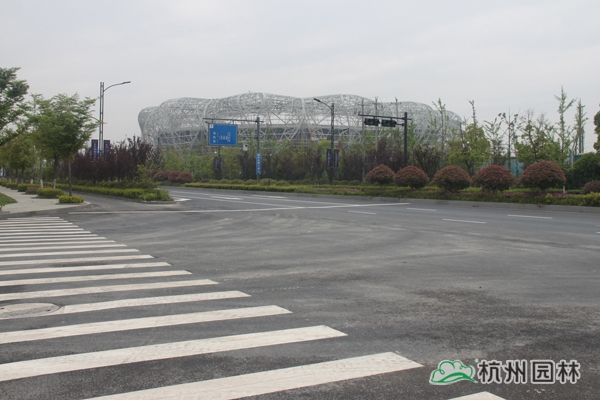 电竞比赛押注app