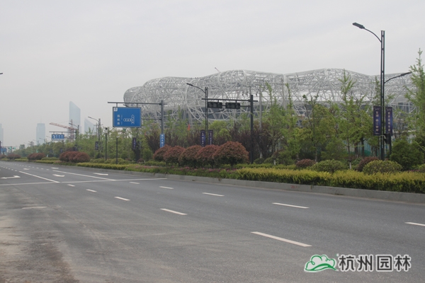 电竞比赛押注app