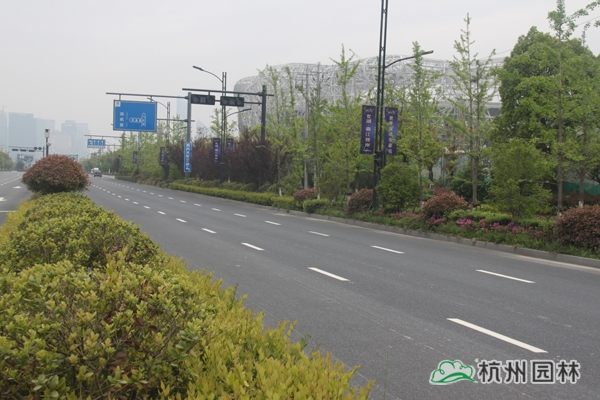 电竞比赛押注app