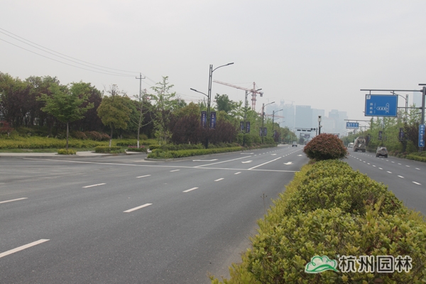 电竞比赛押注app