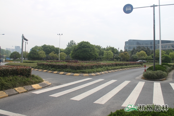 电竞比赛押注app