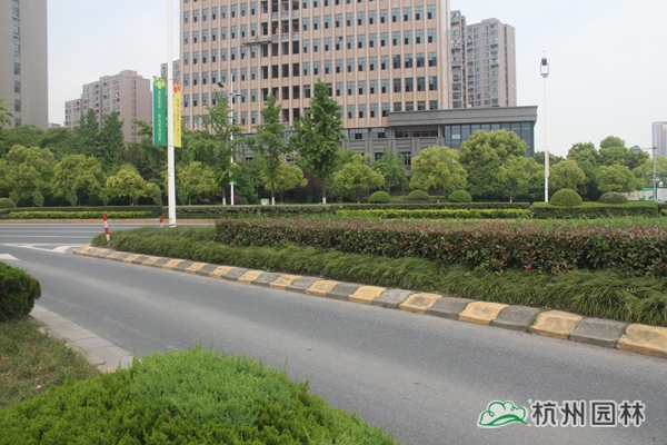 电竞比赛押注app