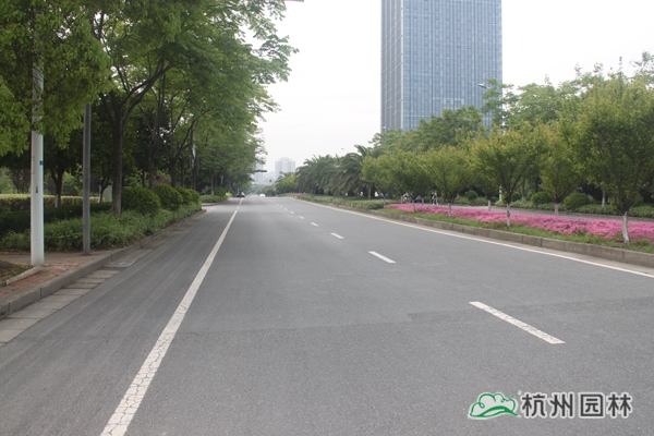 电竞比赛押注app