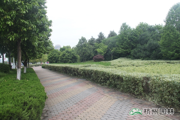 电竞比赛押注app