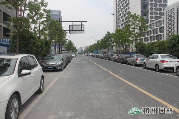 电竞比赛押注app