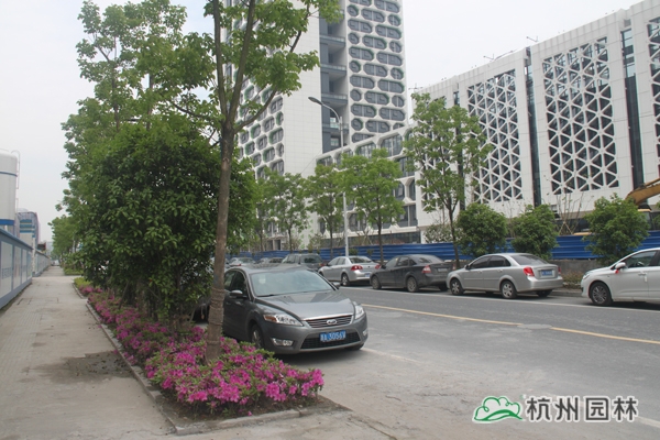 电竞比赛押注app