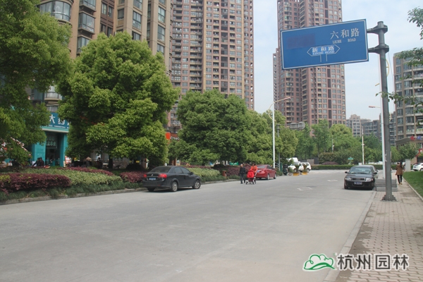 电竞比赛押注app