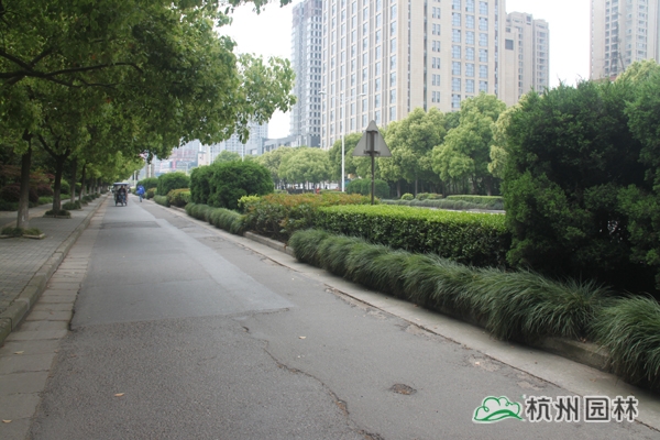 电竞比赛押注app