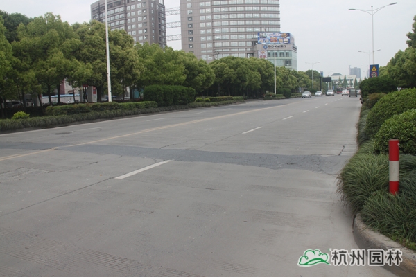 电竞比赛押注app