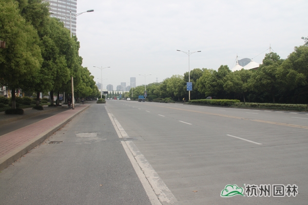 电竞比赛押注app