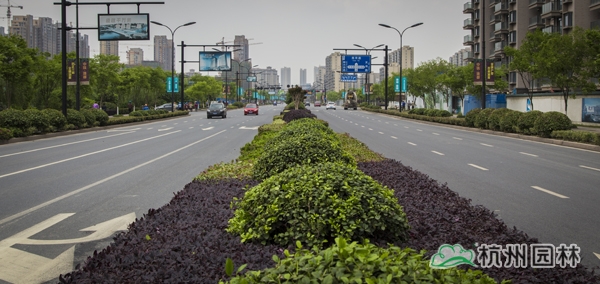 电竞比赛押注app