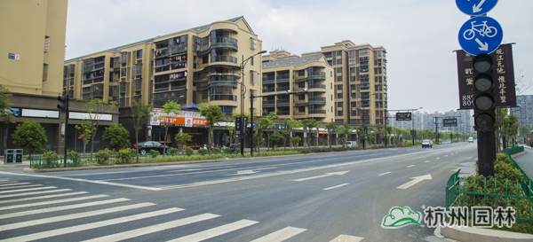 电竞比赛押注app