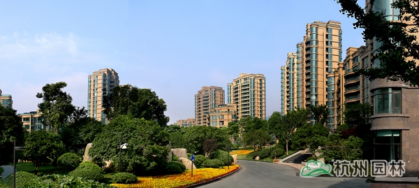 电竞比赛押注app