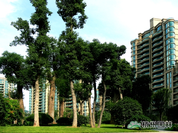 电竞比赛押注app