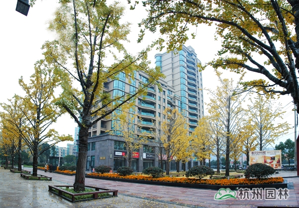 电竞比赛押注app