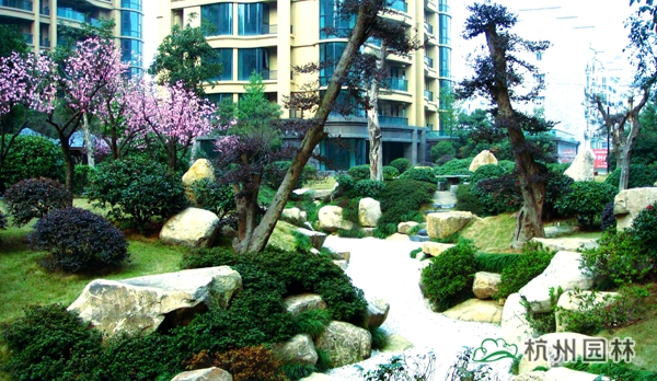 电竞比赛押注app