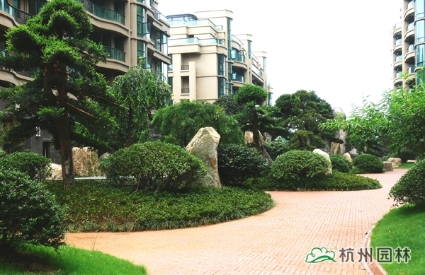 电竞比赛押注app