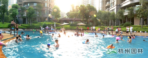 电竞比赛押注app