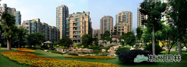 电竞比赛押注app