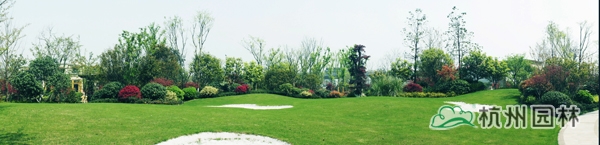 电竞比赛押注app