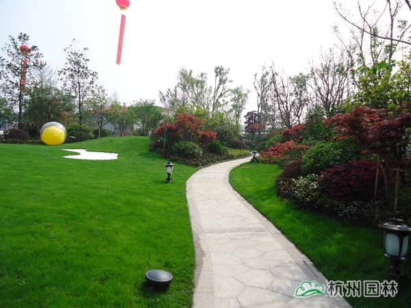 电竞比赛押注app