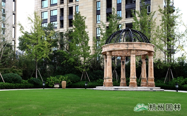 电竞比赛押注app