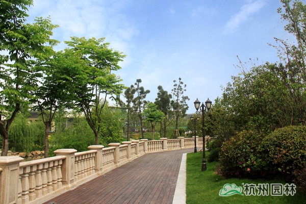 电竞比赛押注app