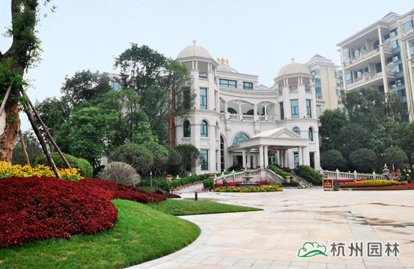 电竞比赛押注app