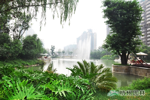 电竞比赛押注app