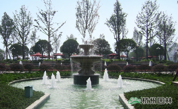 电竞比赛押注app