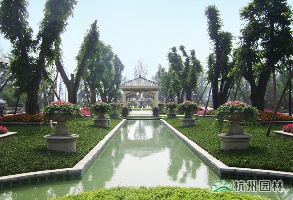 电竞比赛押注app