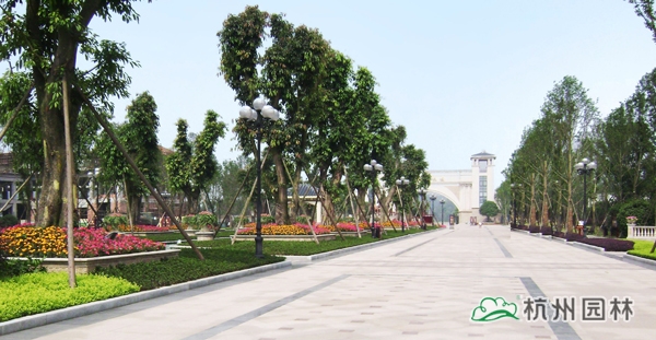 电竞比赛押注app