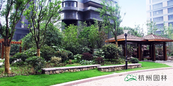 电竞比赛押注app