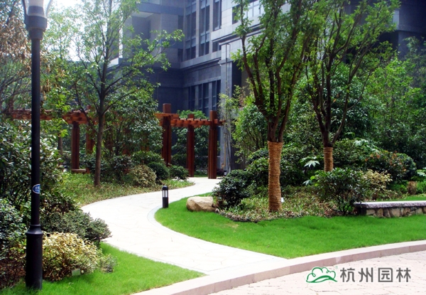 电竞比赛押注app