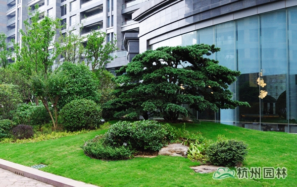 电竞比赛押注app