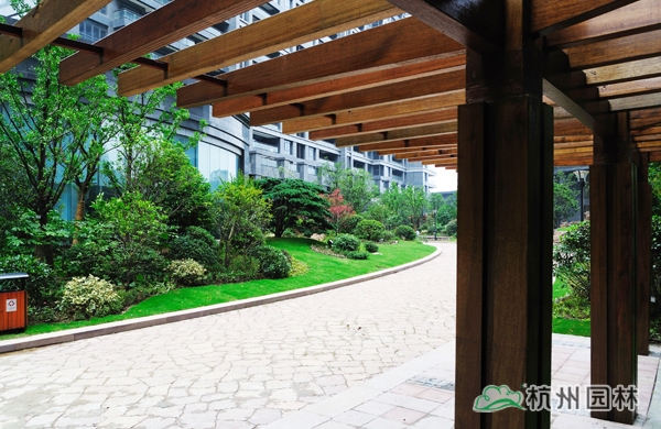 电竞比赛押注app