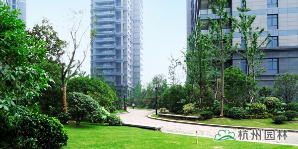 电竞比赛押注app