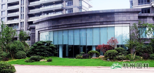 电竞比赛押注app