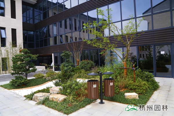 电竞比赛押注app