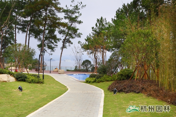 电竞比赛押注app