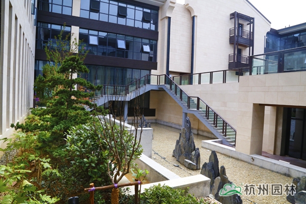 电竞比赛押注app