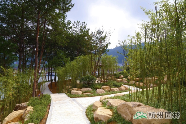 电竞比赛押注app