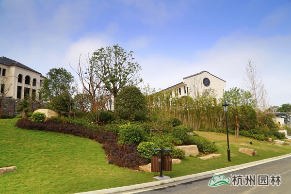 电竞比赛押注app