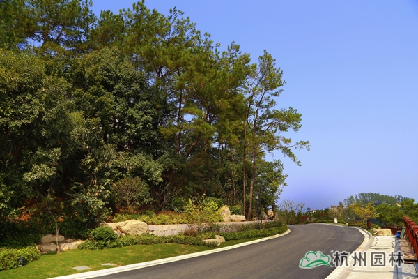 电竞比赛押注app