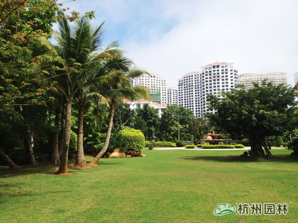 电竞比赛押注app