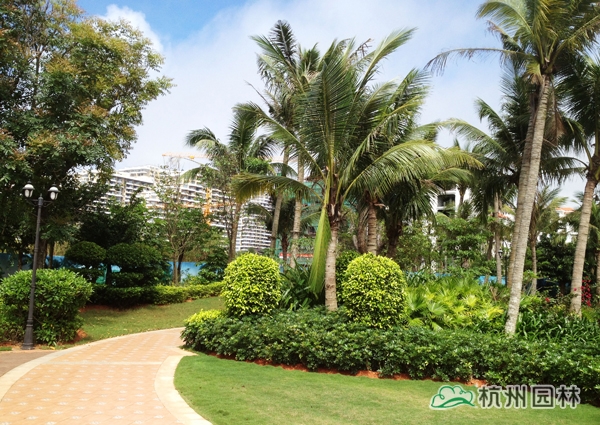 电竞比赛押注app