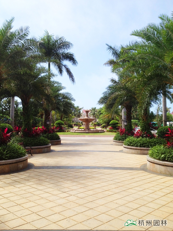 电竞比赛押注app