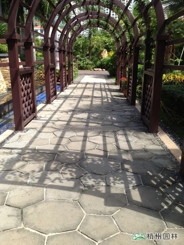 电竞比赛押注app