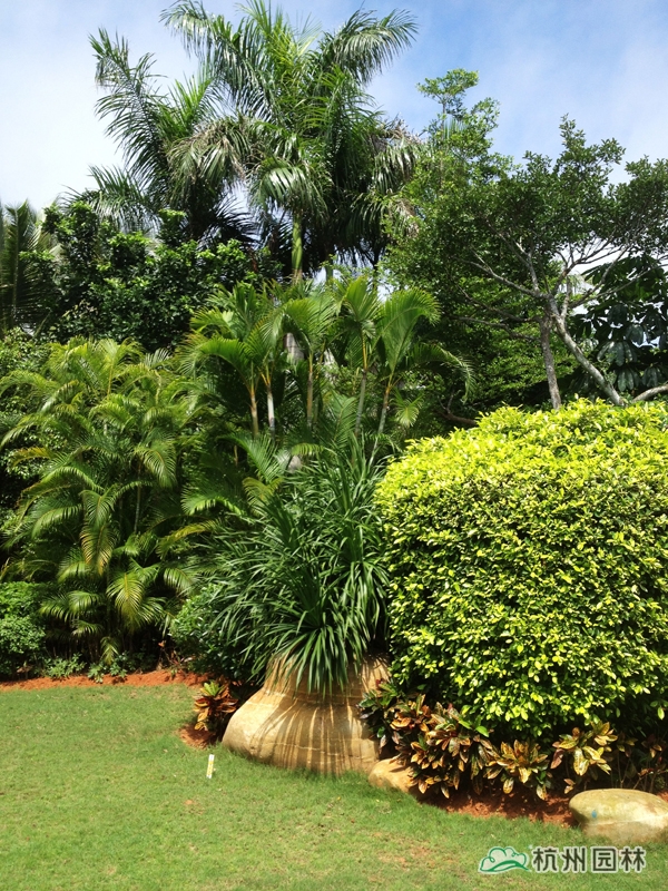 电竞比赛押注app