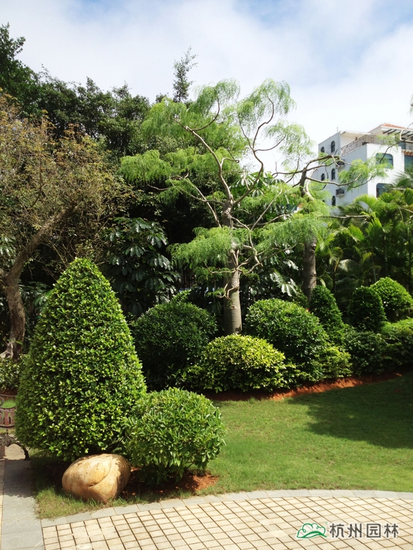 电竞比赛押注app